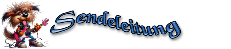 Sendeleitung